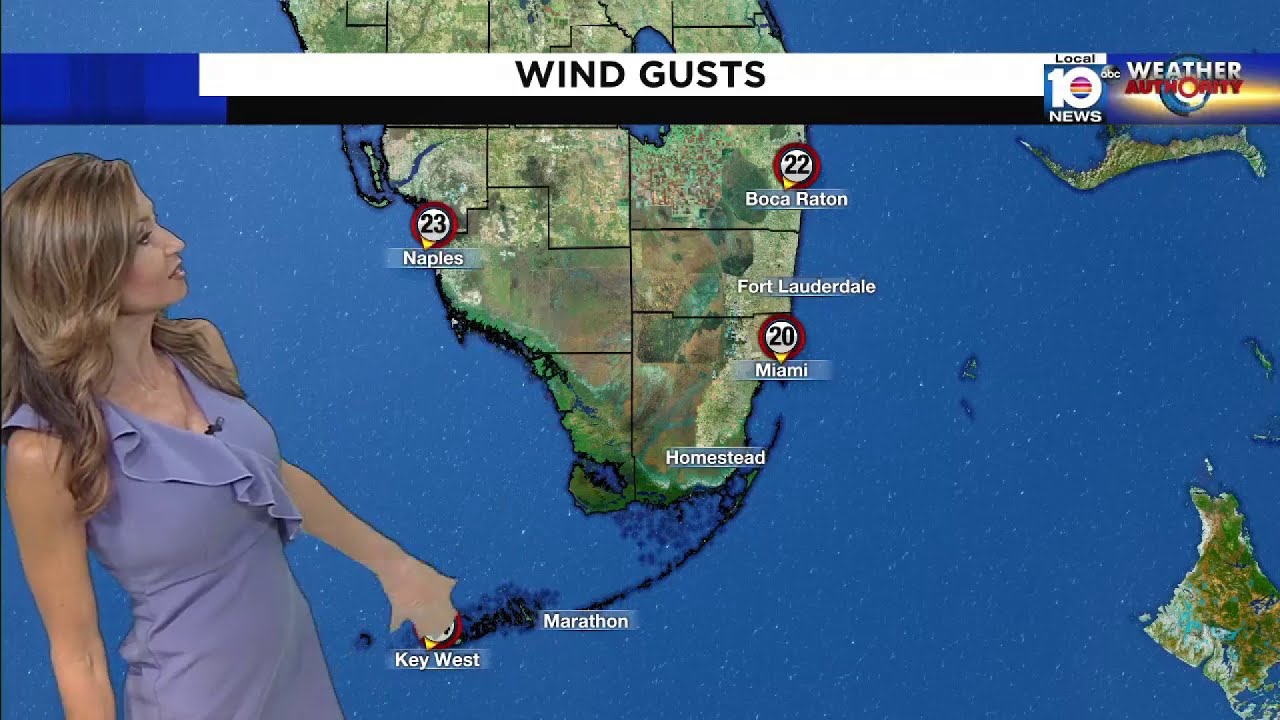 Cold front bringing cooler and windy conditions to South Florida - THE ...