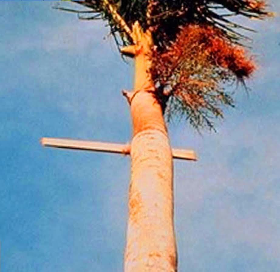 Archive photograph from Hurricane Andrew in South Dade